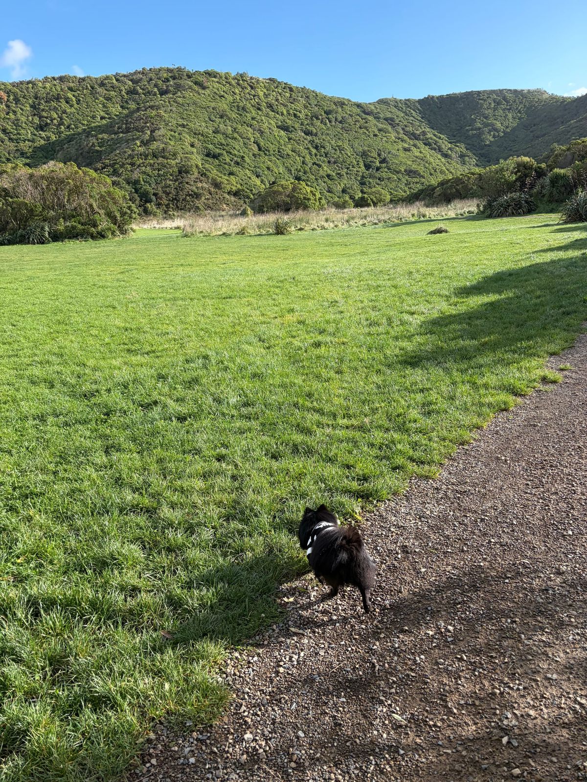 FNC - Long weekend recs!