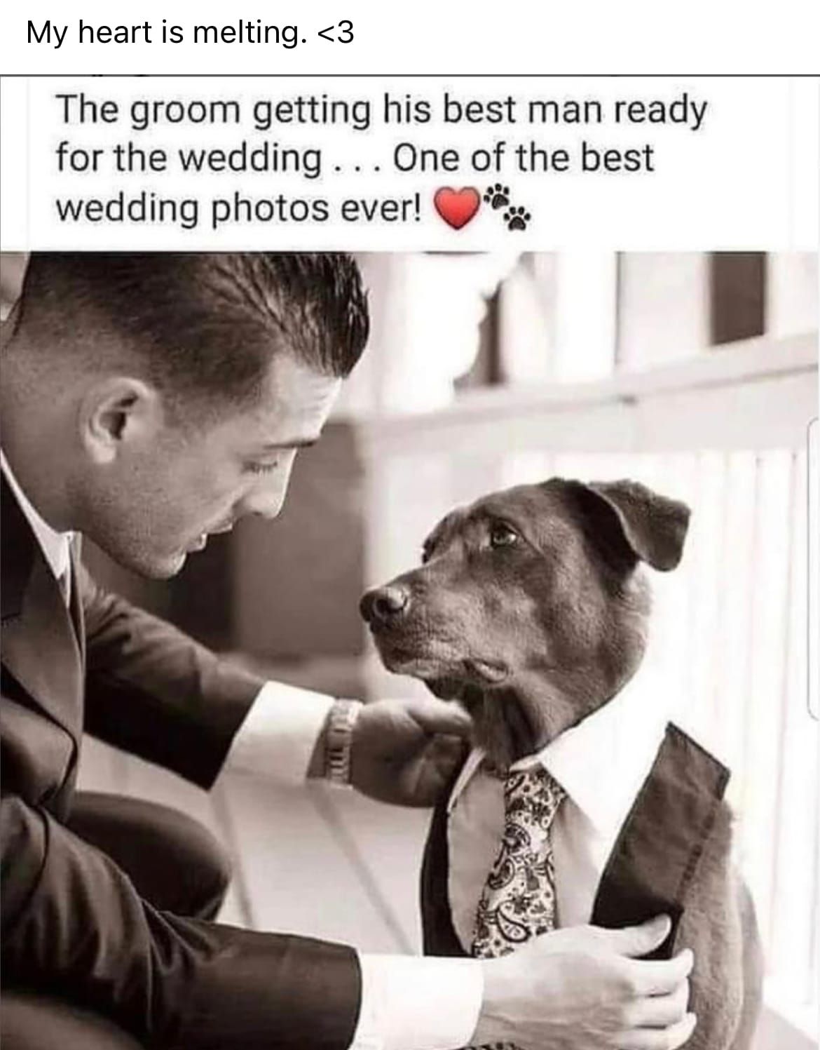 Daddy Zuck giving you content