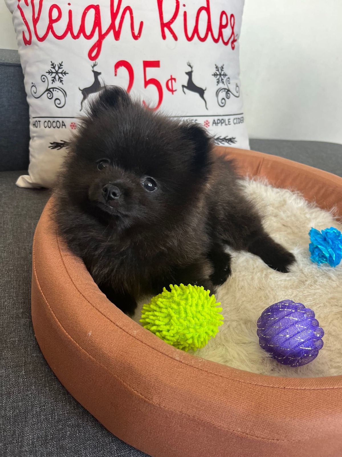 FNC - Loving every second of every minute