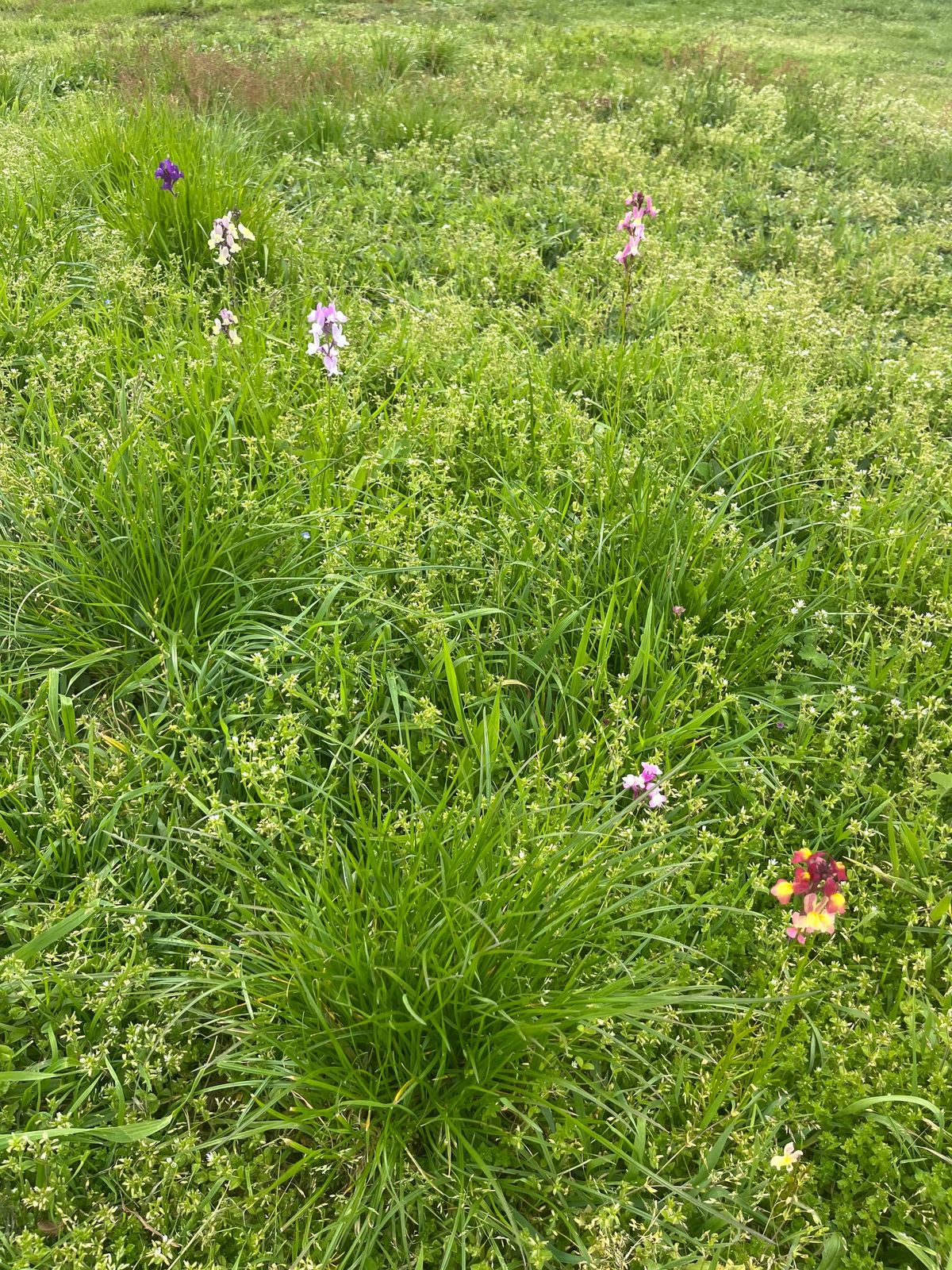 FNC - Sad, sad, sad.