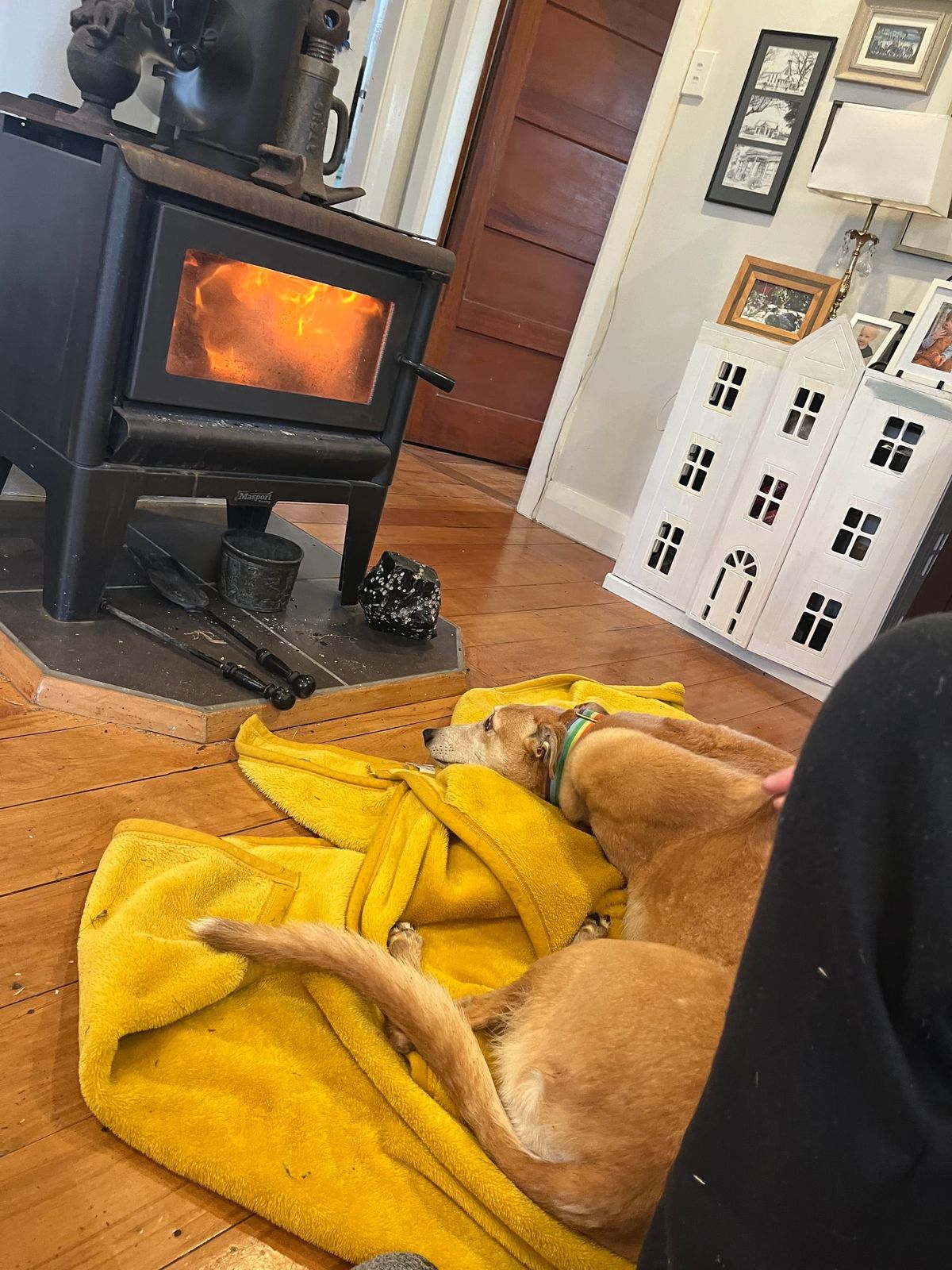 FNC - Aussie larrikins and local journalism