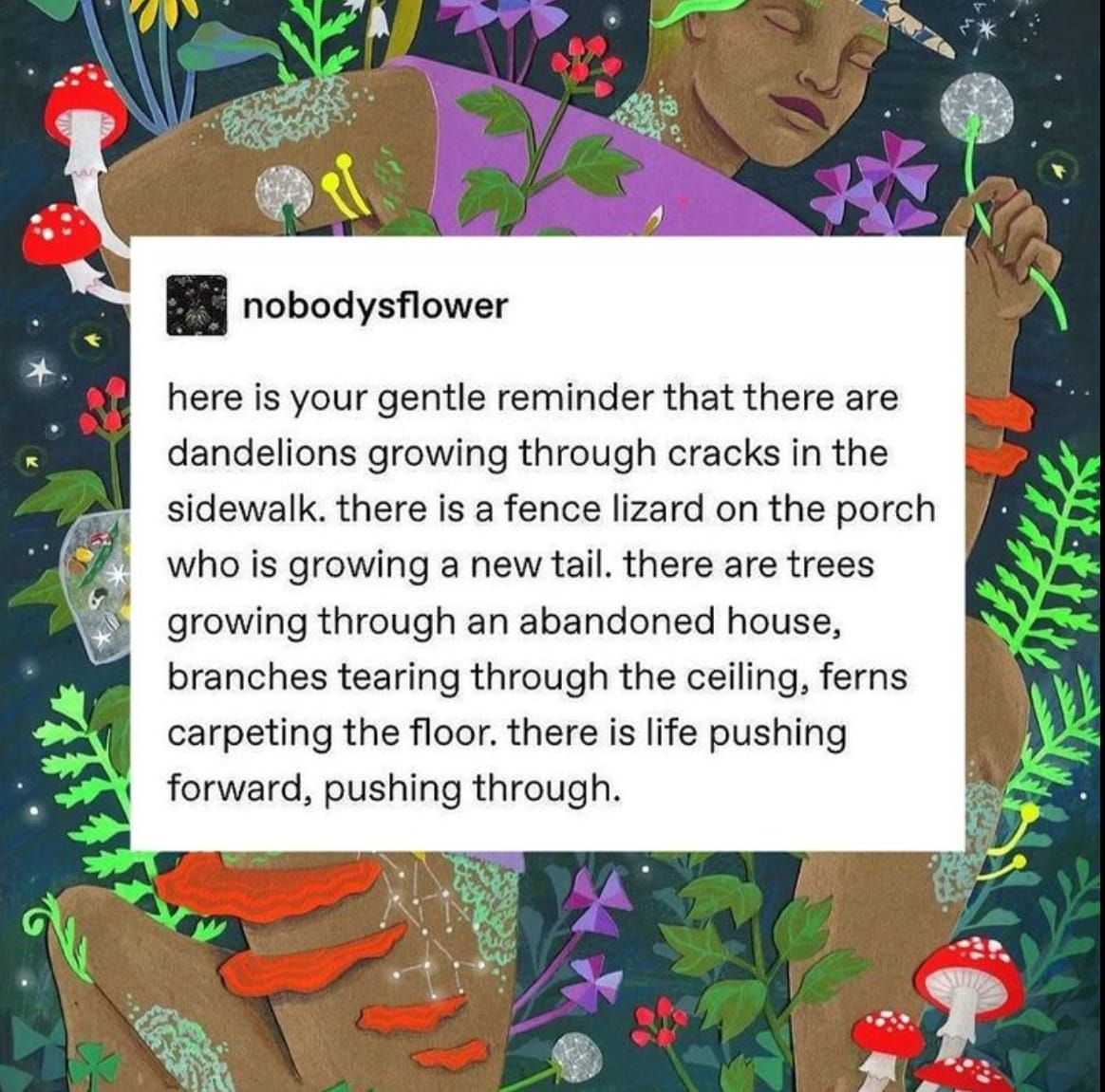 FNC - Slut Walks and protests past