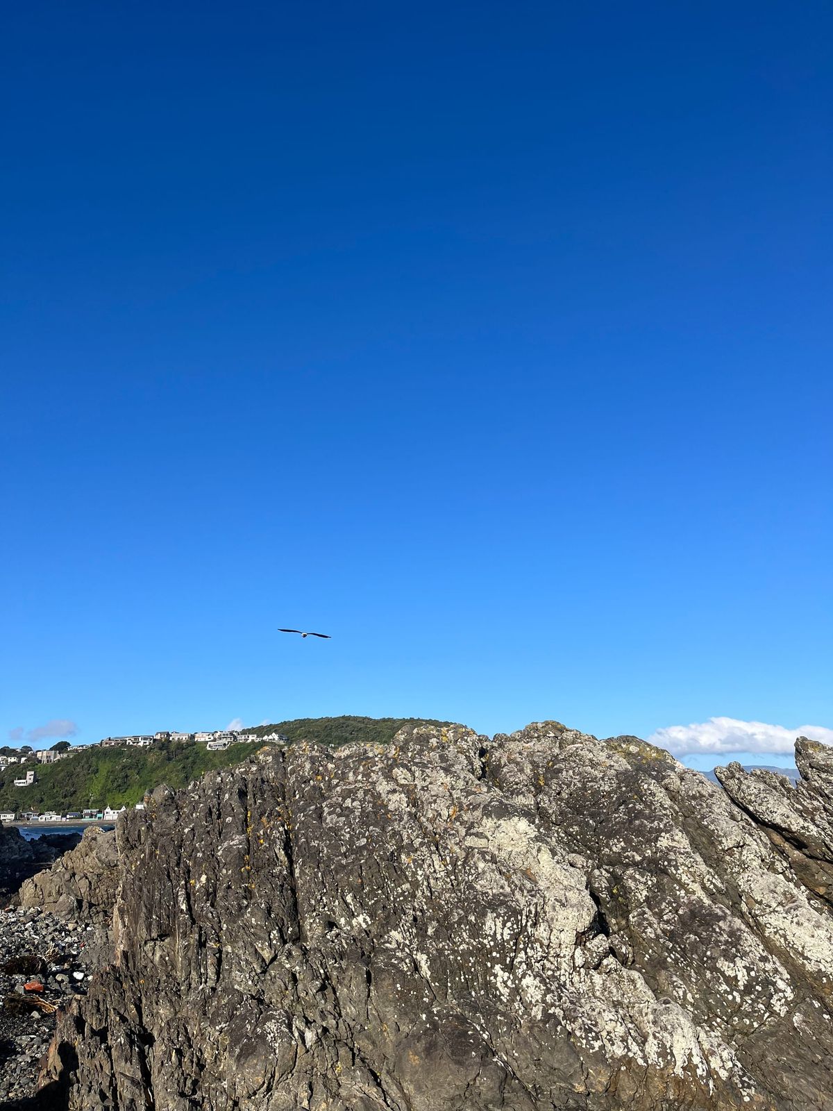 FNC - Is something happening tomorrow?