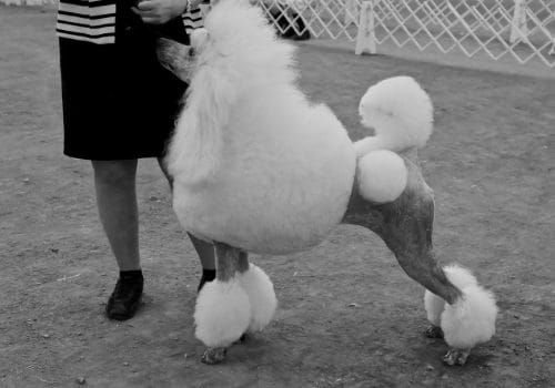 To help you get through....