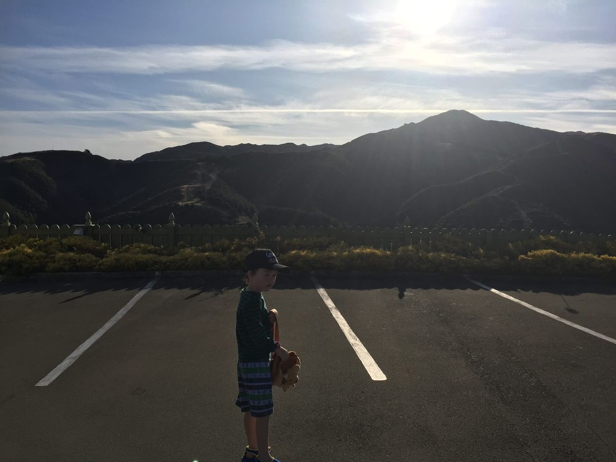 EWW: Chimpanzees, Covid-19, and teddies in windows