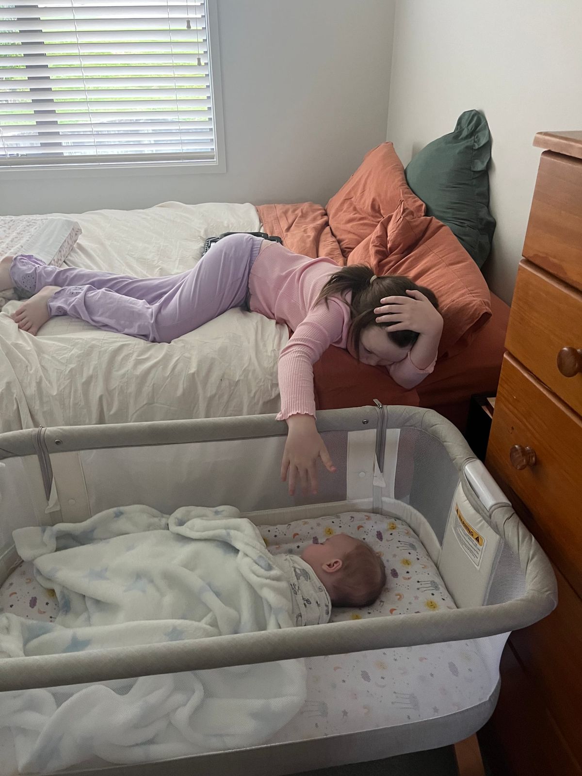 FNC - a 2000s throwback and Bear-on-Bear crime