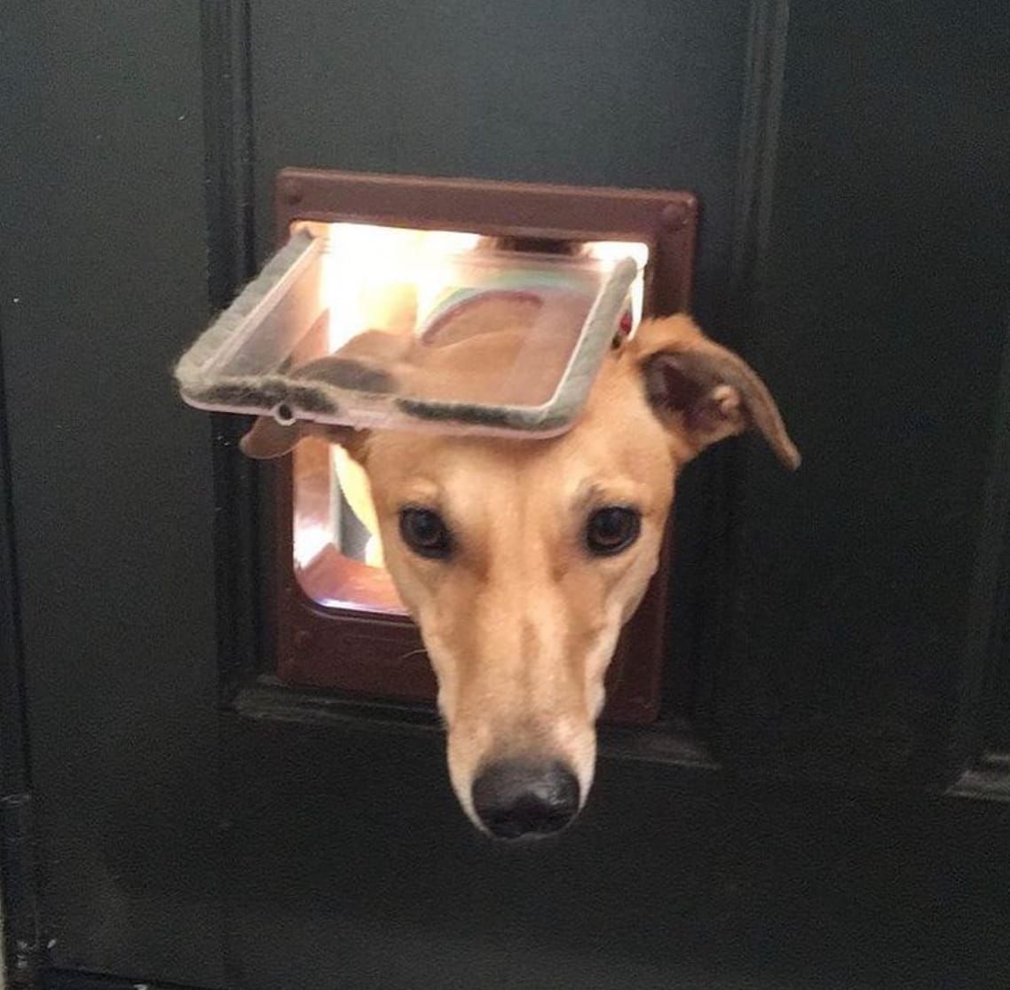 FNC - The Scent of a dad