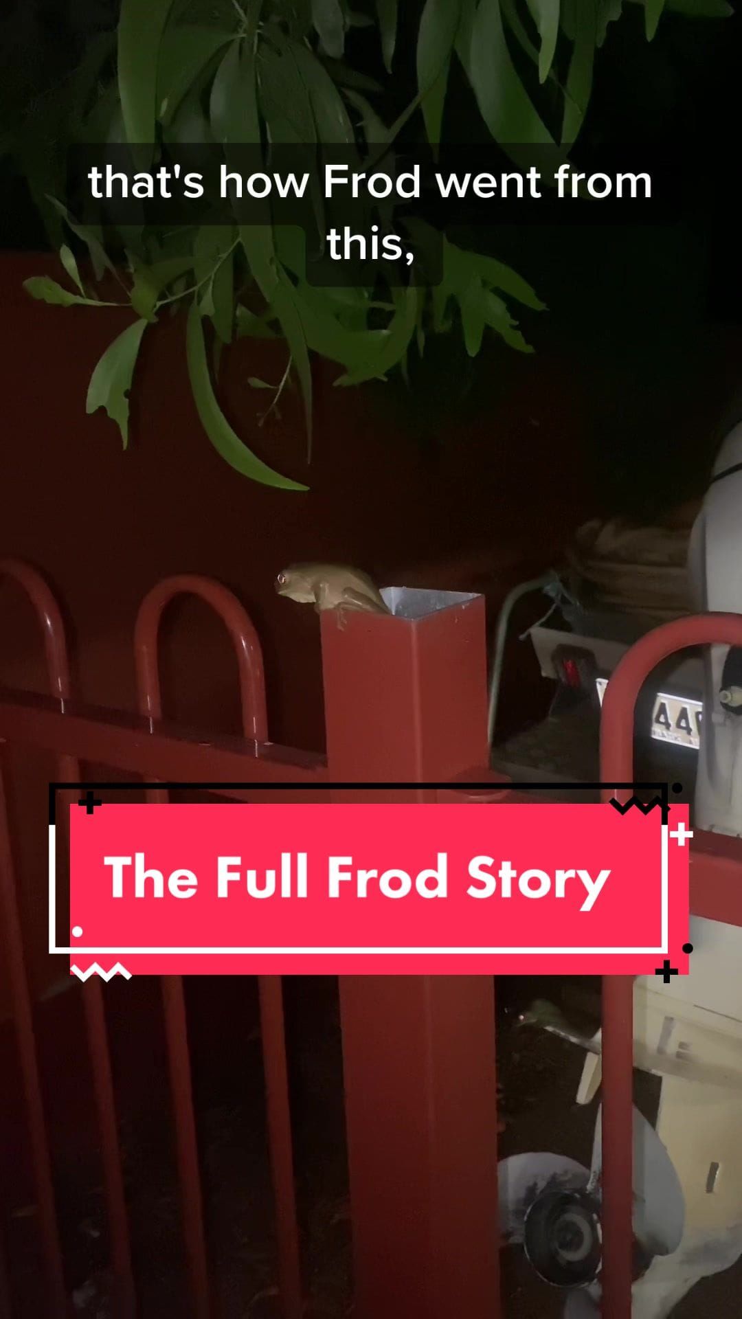 FNC - Chappell Roan supremacy