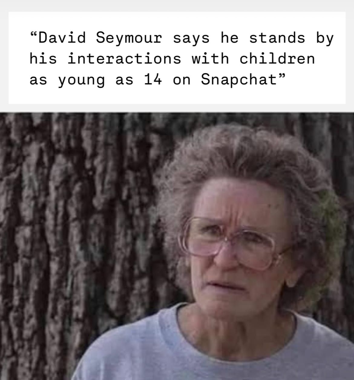 The David Seymour excuse generator