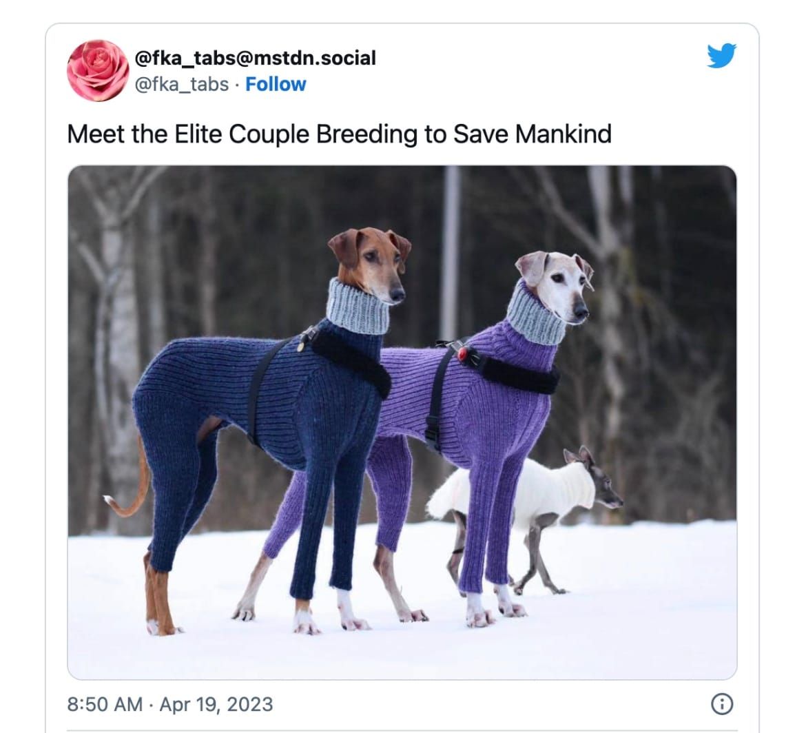 FNC - Life admin and the end of the school holidays