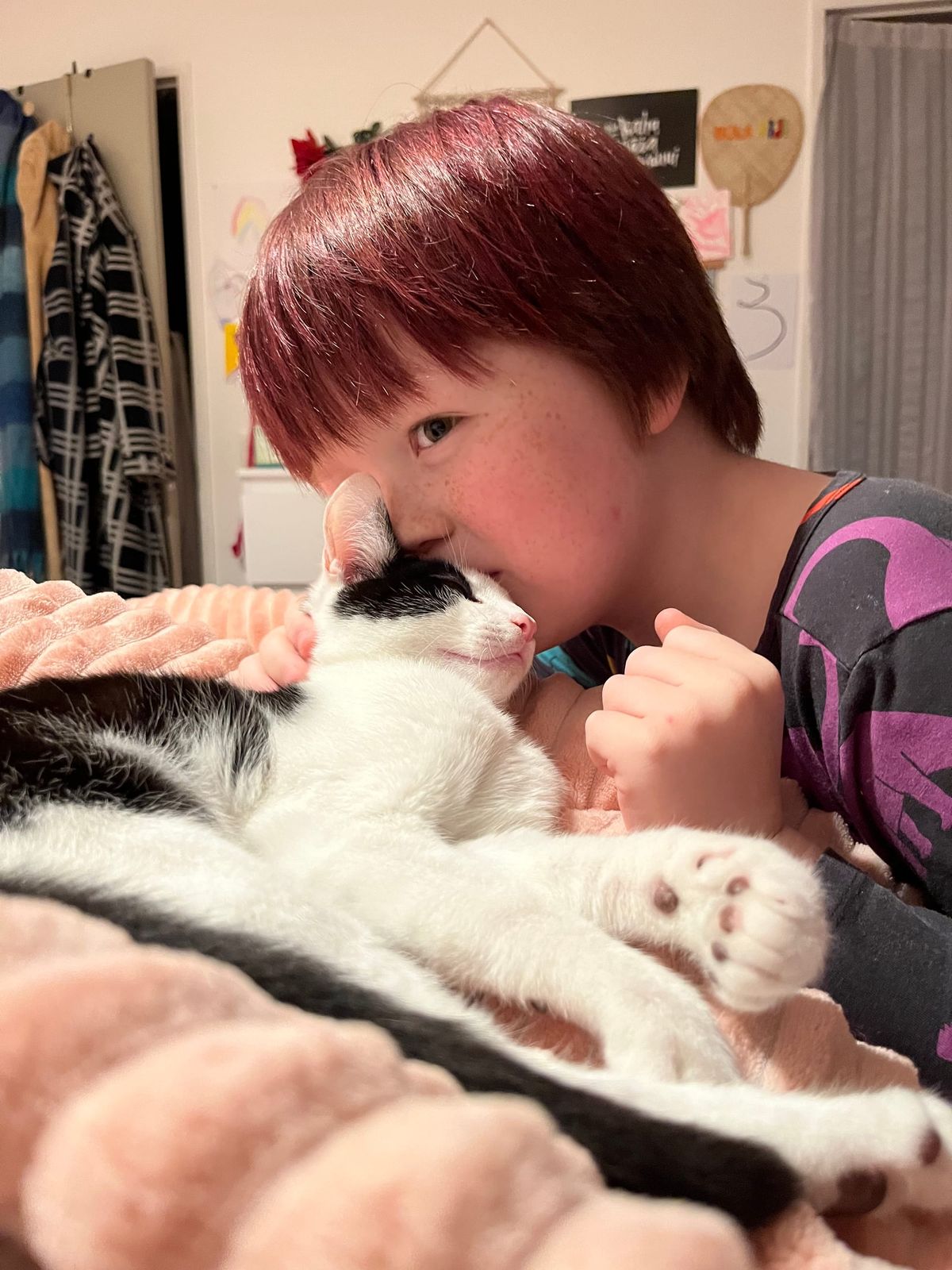 A kitten and a little boy