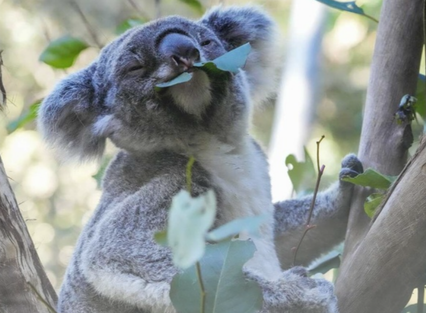 And Just Breathe.....