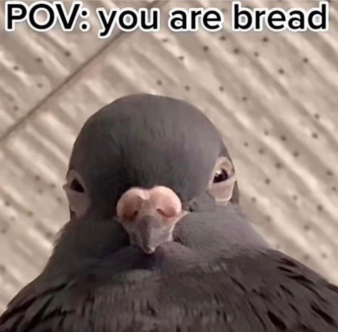 FNC - Sleep, solutions, and teen dreams