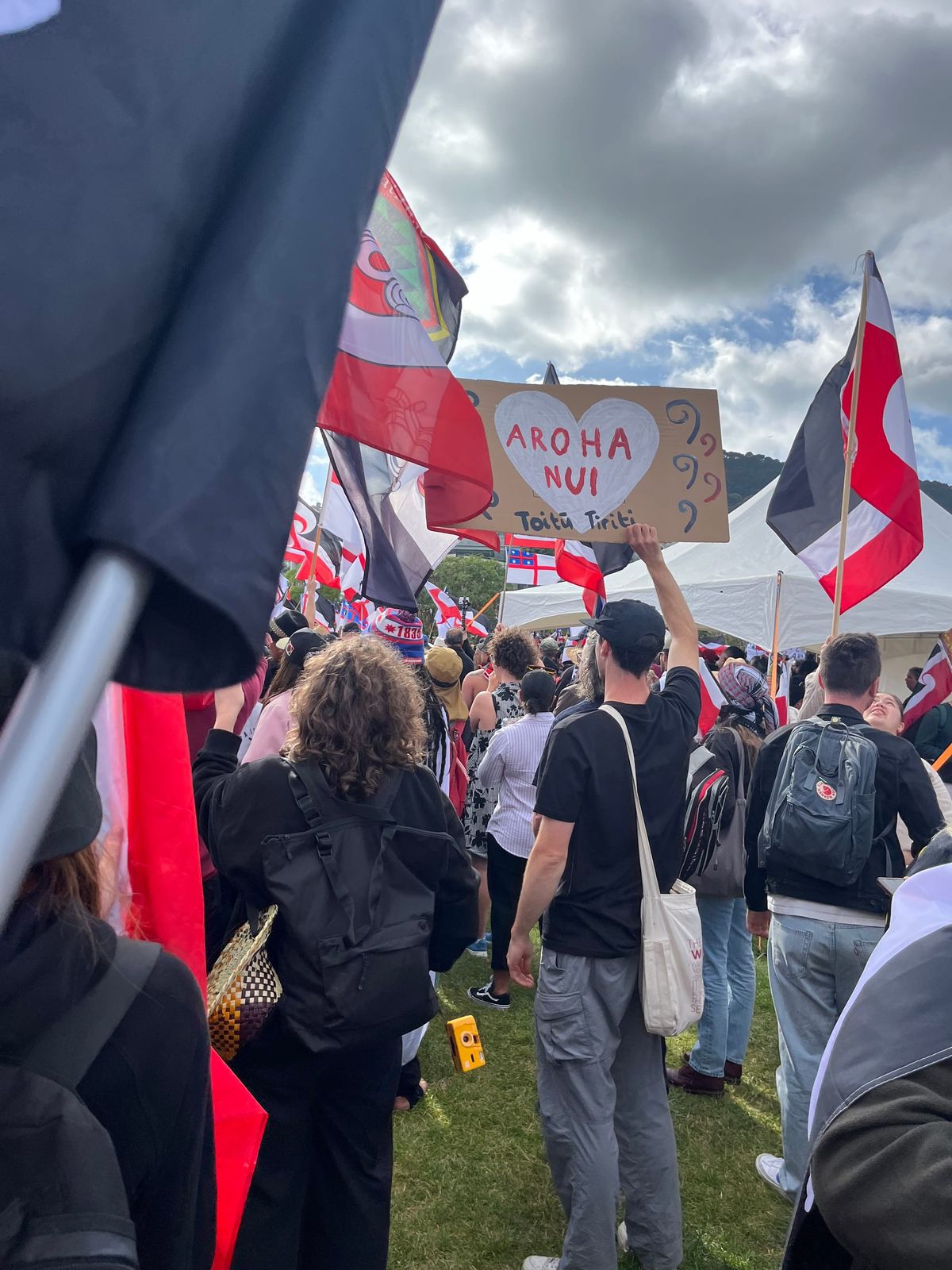 How to make a submission against the Treaty Principles Bill