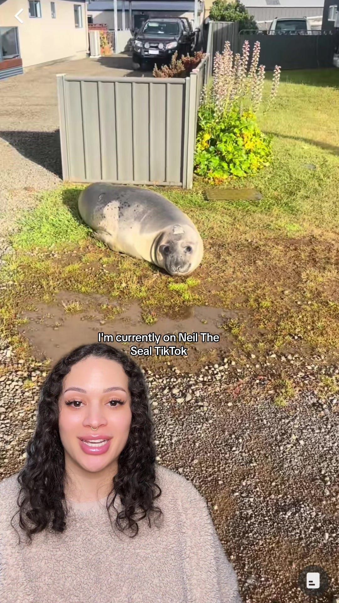 Great rabbitholes to fall into!