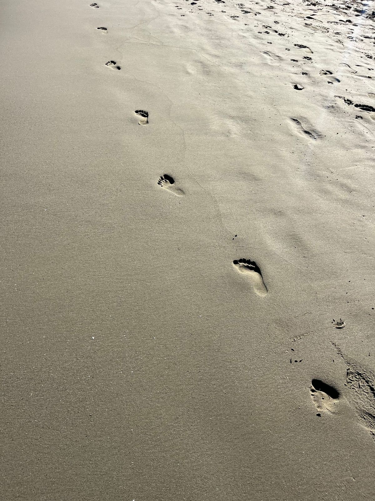 “We will look after them”