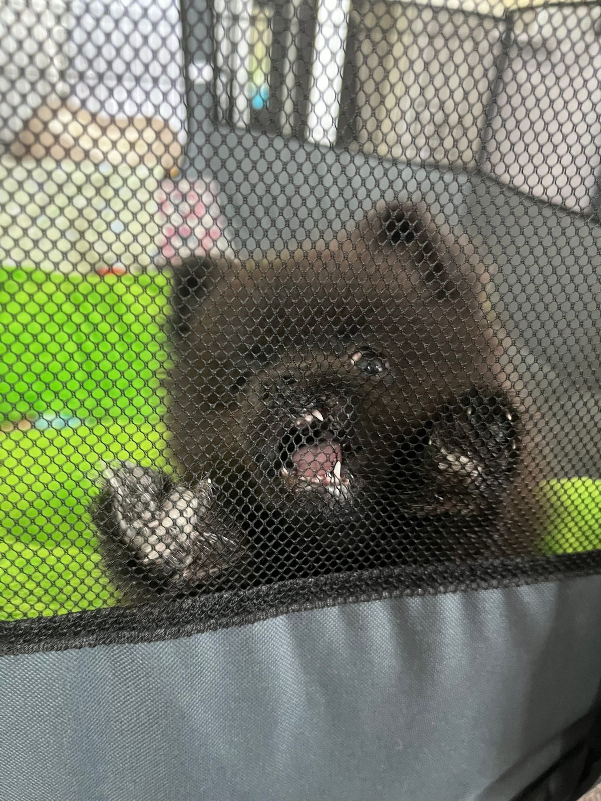 FNC - Resolutions and good reads