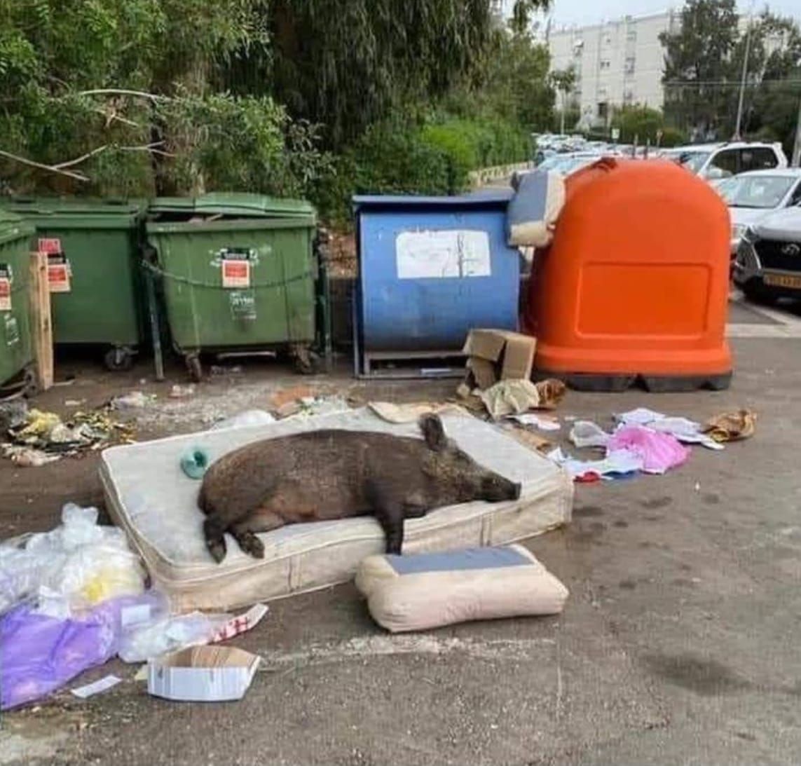 FNC: Polls, porn, and a poem