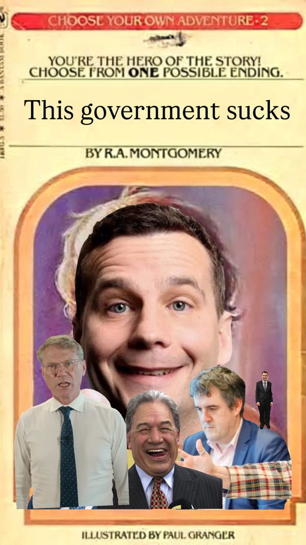 Choose your own adventure as a one term government