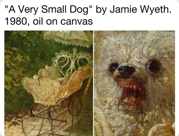 FNC - Long weekend reads + recs!