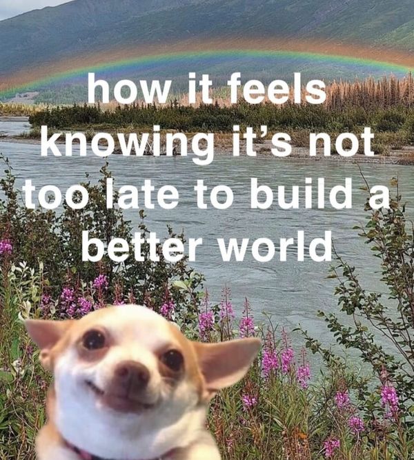 FNC - The Christmas countdown