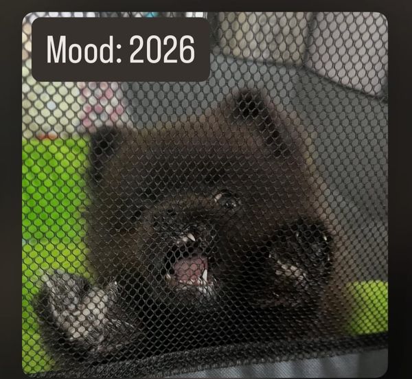 You WILL have a good 2026