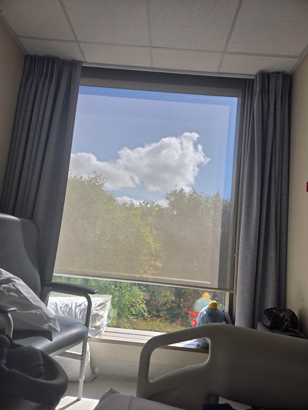 The view from cancer patient Helen Gilby's bed in the hospital