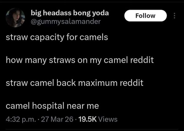 FNC: Easter long weekend recommendations + chats