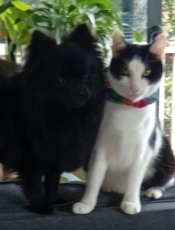 FNC - Short week? Did it feel like it?