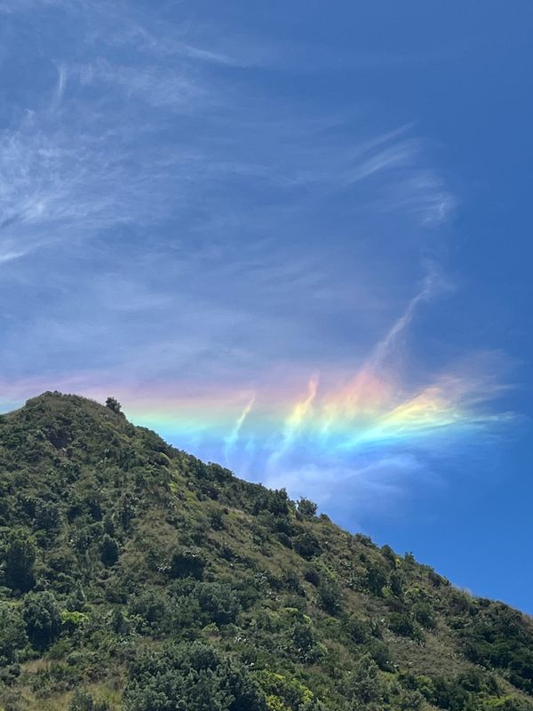 A buffet of holiday reads...