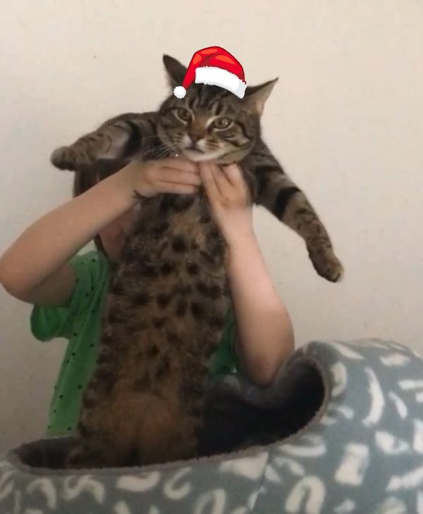 The best news of 2021