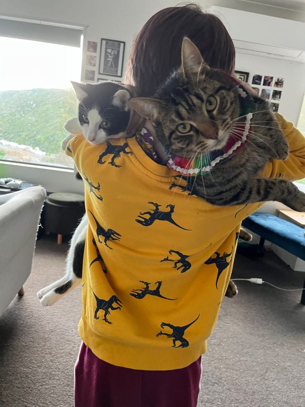 FNC - We have an update! It's good news!