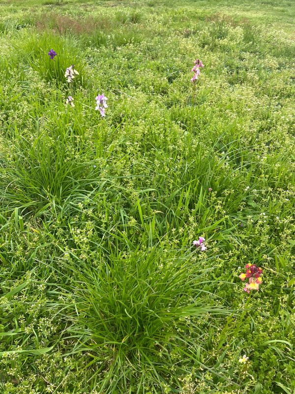 FNC - Sad, sad, sad.