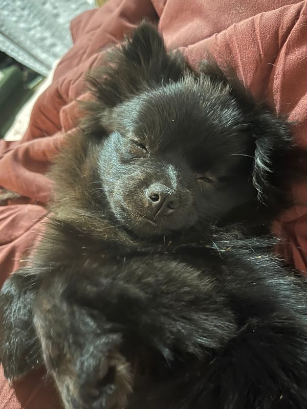 FNC - It's aliiiiiive!