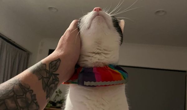 FNC - And, and, and, and...