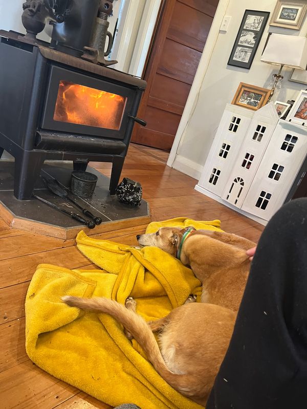 FNC - Aussie larrikins and local journalism