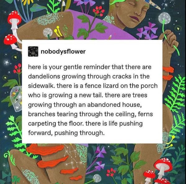 FNC - Slut Walks and protests past