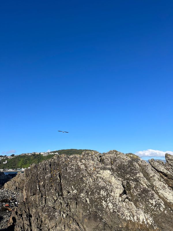 FNC - Is something happening tomorrow?