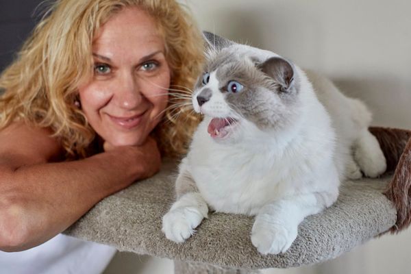 What is going on with NZ First MP Tanya Unkovich?