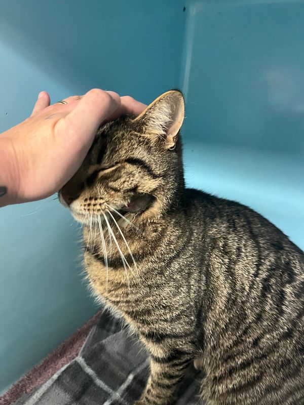 FNC - Bruce c’mon now!