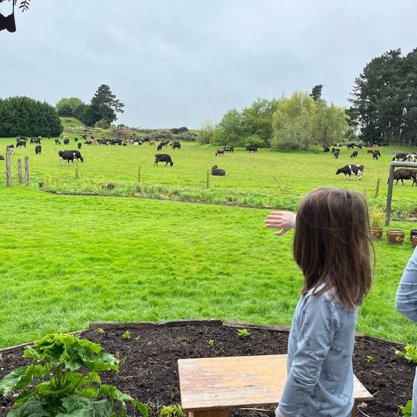 FNC - Conspiracy theories, raunchy audiobooks and farm stays..