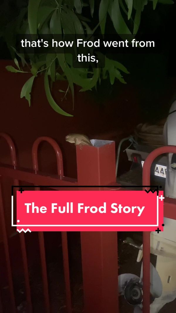 FNC - Chappell Roan supremacy