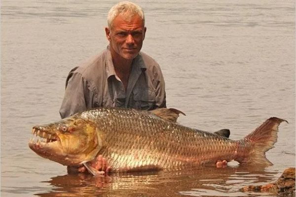 Jeremy Wade wants you to be OK