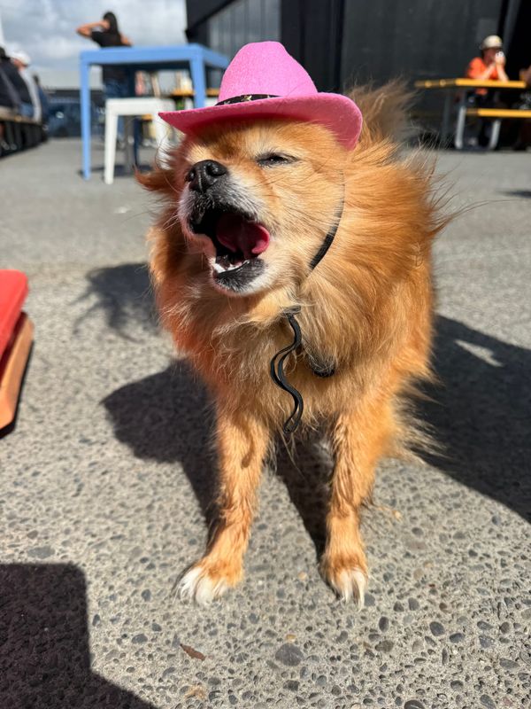 FNC - When it rains!