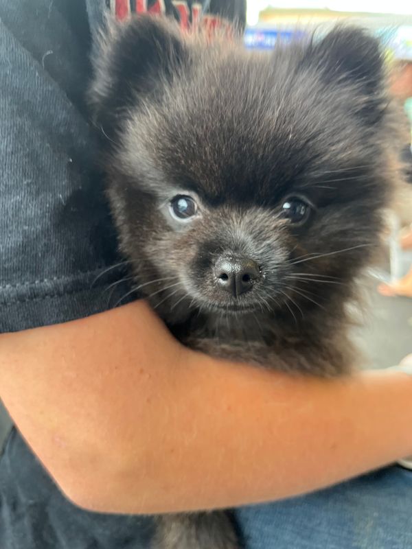 FNC - The best of the best of lists + holiday reading