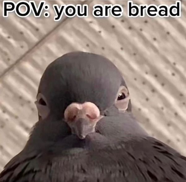 FNC - Sleep, solutions, and teen dreams