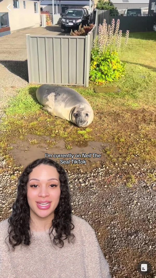 Great rabbitholes to fall into!