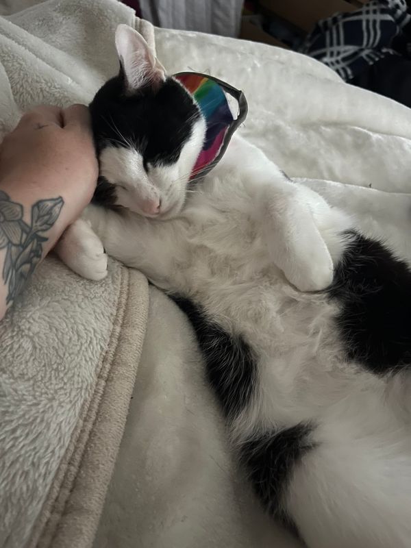 FNC - Enough sad watches for Emilíadóttirs