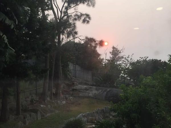 My heart is where my home is