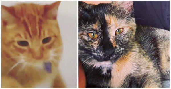 FNC - It's been a week, mates